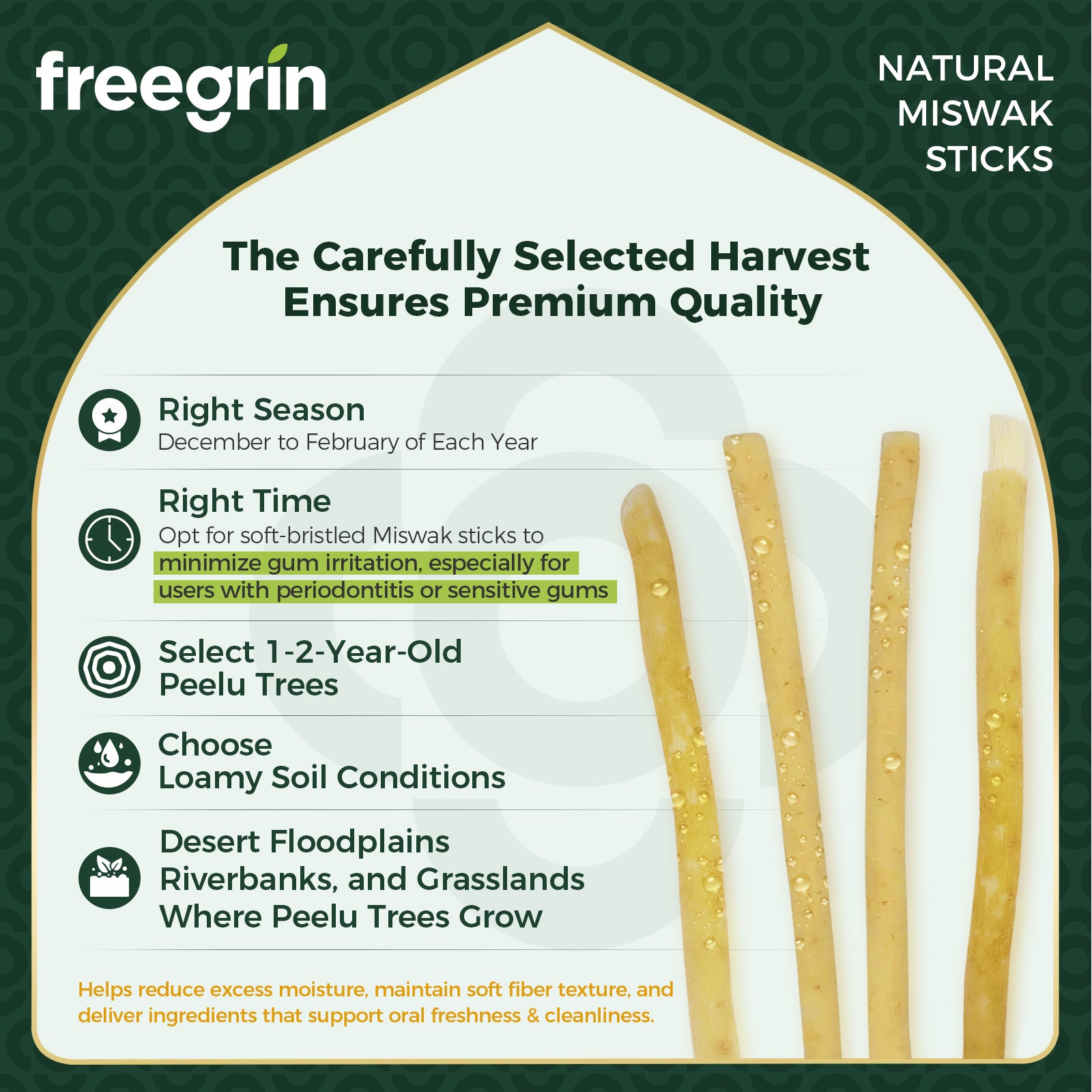 FreeGrin Miswak Stick (1 Pack) - Mint Flavor