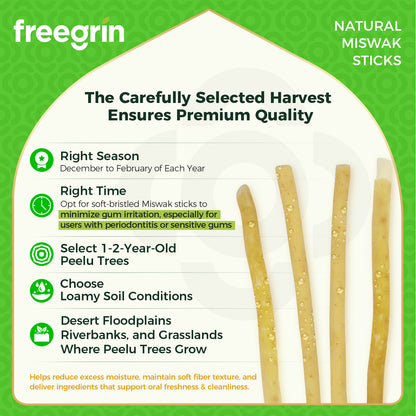 FreeGrin Miswak Stick (1 Pack) - Coconut Flavor