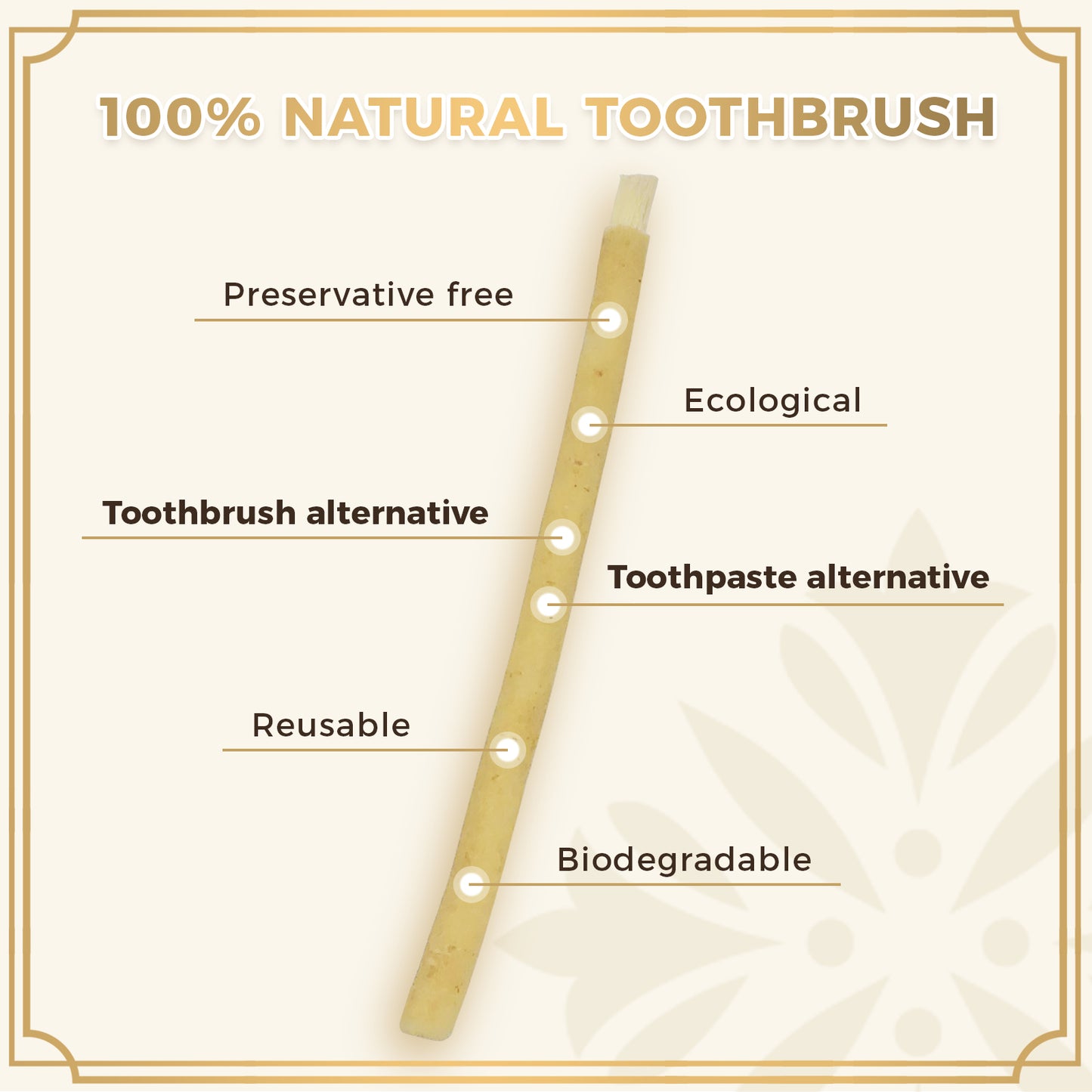 freegrin 100 percent natural toothbrush alternative