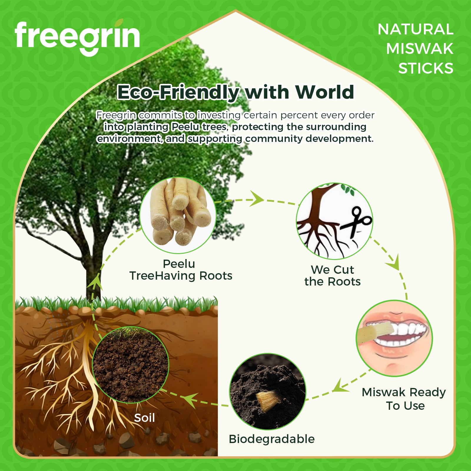 Freegrin Biodegradable Coconut Flavor Miswak Sticks Sourcing and Sourcing