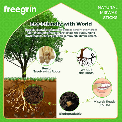 Freegrin Biodegradable Coconut Flavor Miswak Sticks Sourcing and Sourcing
