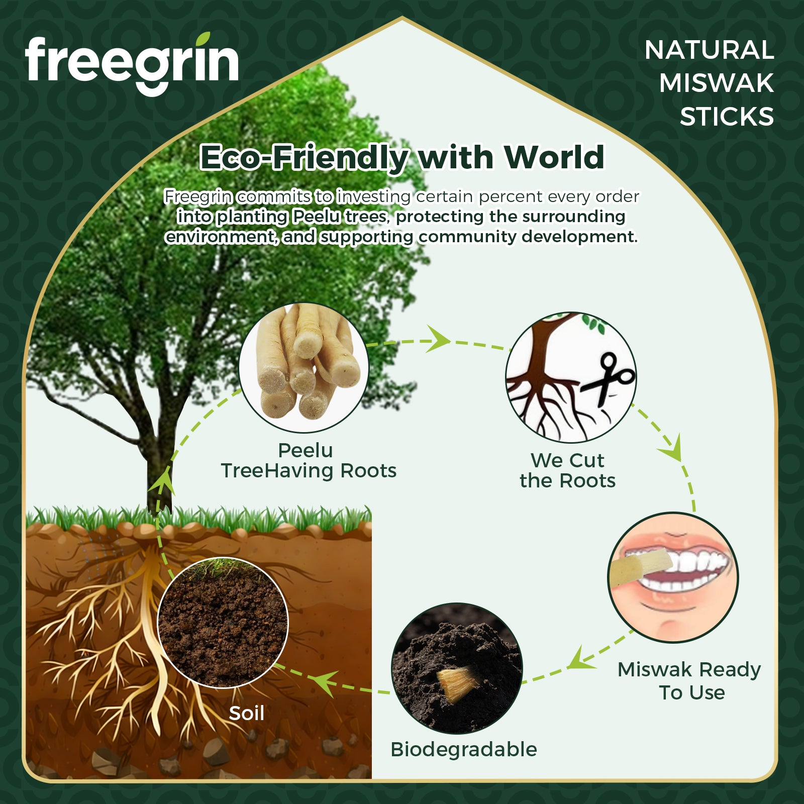 Freegrin Biodegradable Mint Flavor Miswak Sticks Sourcing and Sourcing