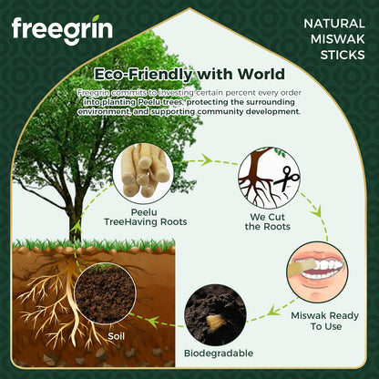 Freegrin Biodegradable Mint Flavor Miswak Sticks Sourcing and Sourcing
