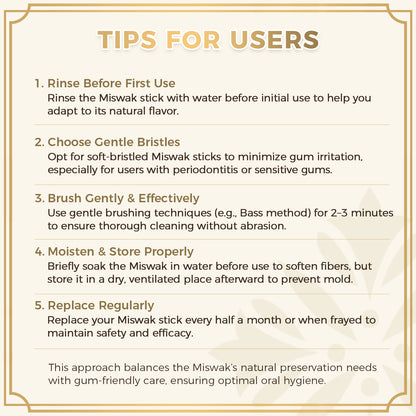 freegrin miswak user tips and brushing routine