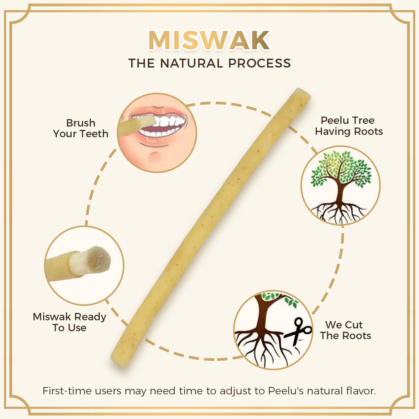 freegrin natural miswak peelu tree root process
