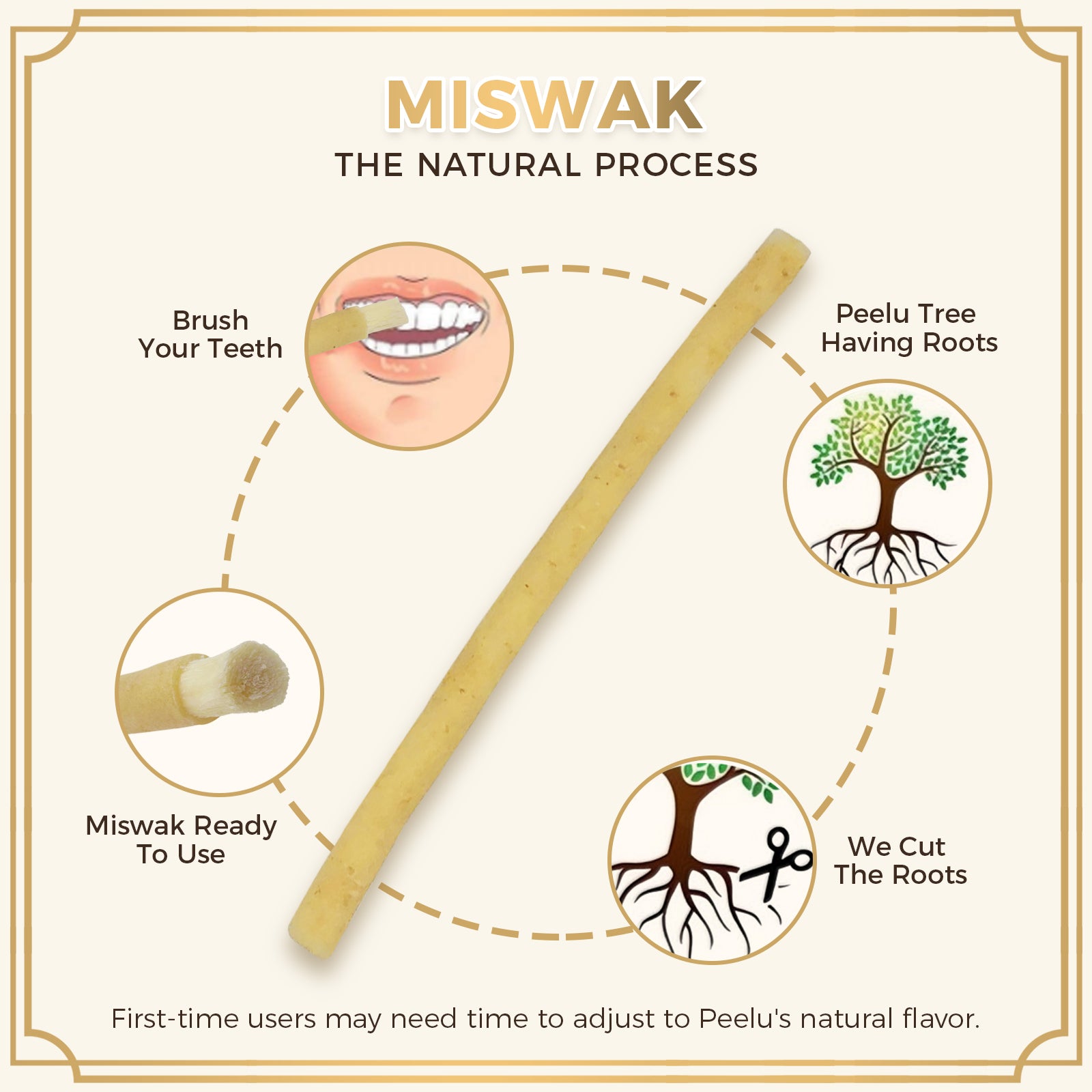 freegrin natural miswak peelu tree root process