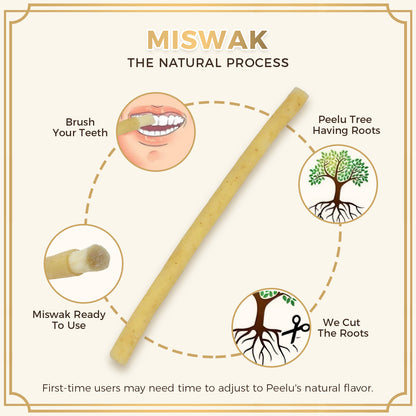 freegrin natural miswak peelu tree root process