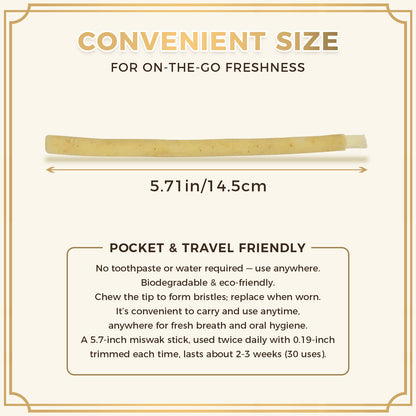 freegrin travel friendly pocket size miswak